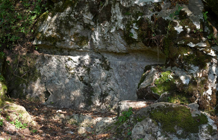 Sentiero dell'Antica Pieve al Castello di Pievebelvicino a Torrebelvicino, Val Leogra Pasubio