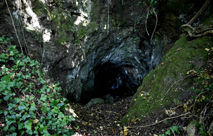 Sentiero dell'Antica Pieve al Castello di Pievebelvicino a Torrebelvicino, Val Leogra Pasubio