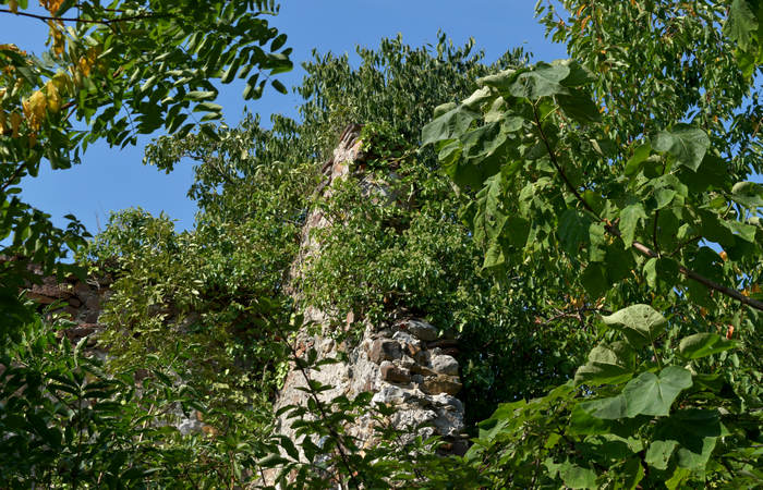 Sentiero dell'Antica Pieve al Castello di Pievebelvicino a Torrebelvicino, Val Leogra Pasubio