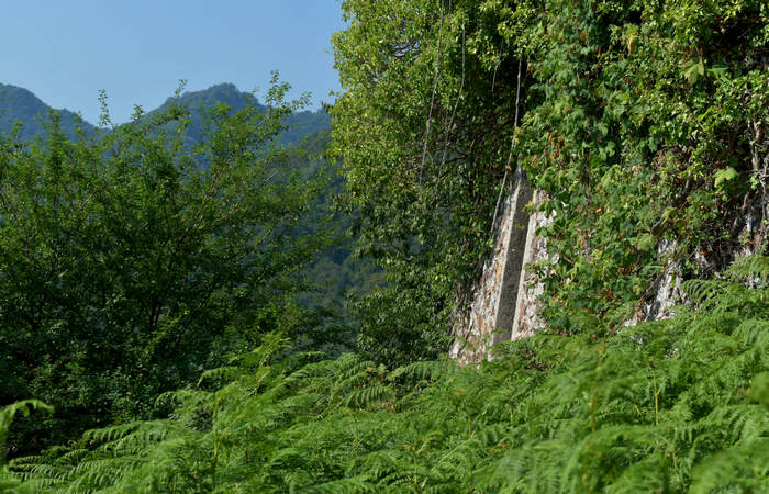 Sentiero dell'Antica Pieve al Castello di Pievebelvicino a Torrebelvicino, Val Leogra Pasubio