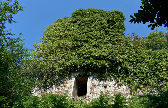 Sentiero dell'Antica Pieve al Castello di Pievebelvicino a Torrebelvicino, Val Leogra Pasubio