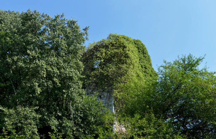 Sentiero dell'Antica Pieve al Castello di Pievebelvicino a Torrebelvicino, Val Leogra Pasubio
