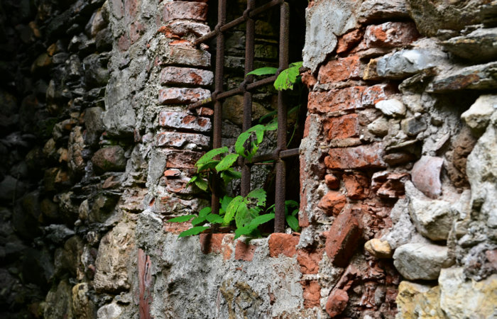 La Via dell'acqua a Valli del Pasubio in Val Leogra Alto Vicentino