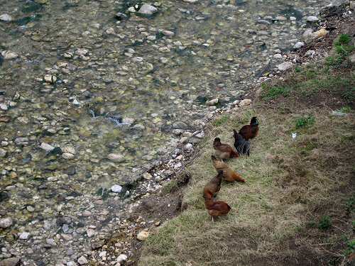 via dell'acqua - Valli del Pasubio