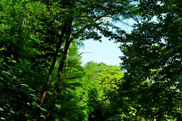 Castello di Meda, Eremo Rocca di Meda, Cappello del Doge - Velo d'Astico