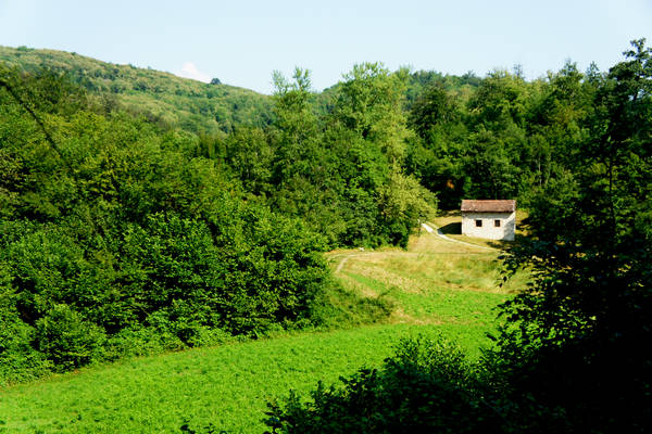 Cornedo, Cereda, Faedo, Monte di Malo, Mucion, Muzzolon