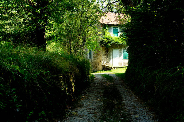 Cornedo, Cereda, Faedo, Monte di Malo, Mucion, Muzzolon