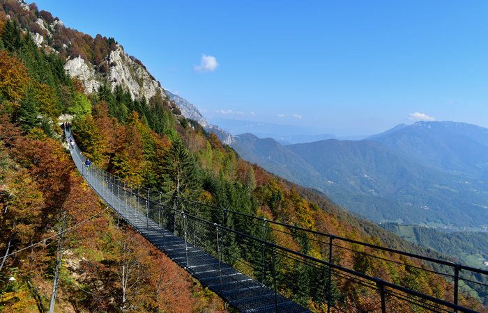 Valli del Pasubio, Ponte tibetano Avis sulla Strada del Re nel gruppo del Sengio Alto