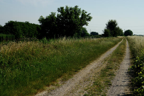 giro cicloturistico tra Adria e Porto Viro lungo gli argini del Canal Bianco e del fiume Po