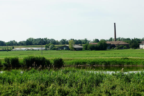 giro cicloturistico tra Adria e Porto Viro lungo gli argini del Canal Bianco e del fiume Po