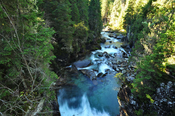 Paneveggio Pale di San Martino
