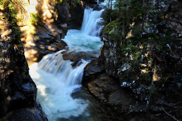 Paneveggio Pale di San Martino