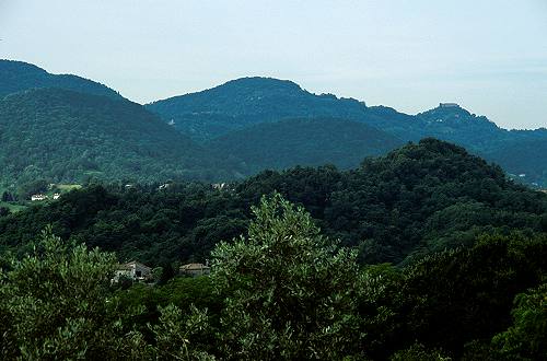 Colli Asolani