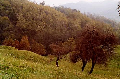 colori d'autunno nei colli Asolani