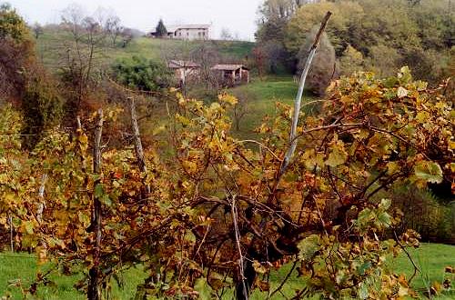 colori d'autunno nei colli Asolani