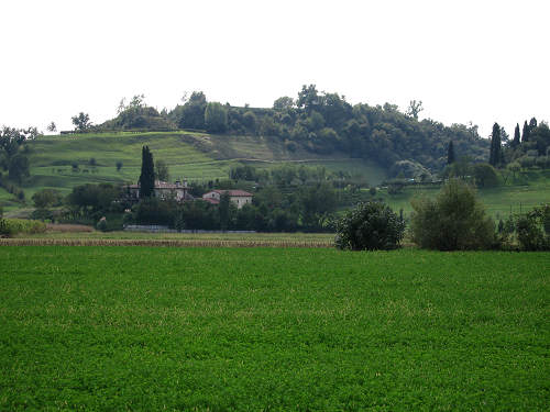 colli Asolani