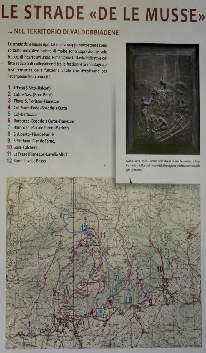 sentiero naturalistico delle Prese del Cesen, Strada dele Musse