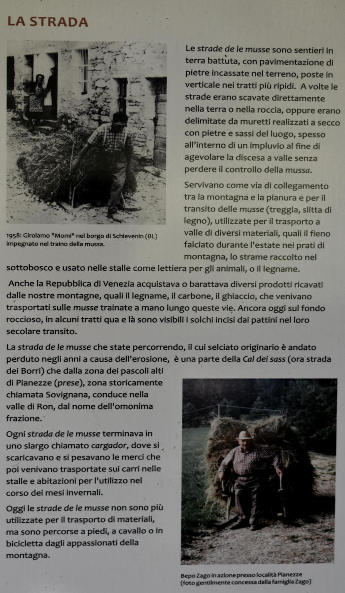 sentiero naturalistico delle Prese del Cesen, Strada dele Musse