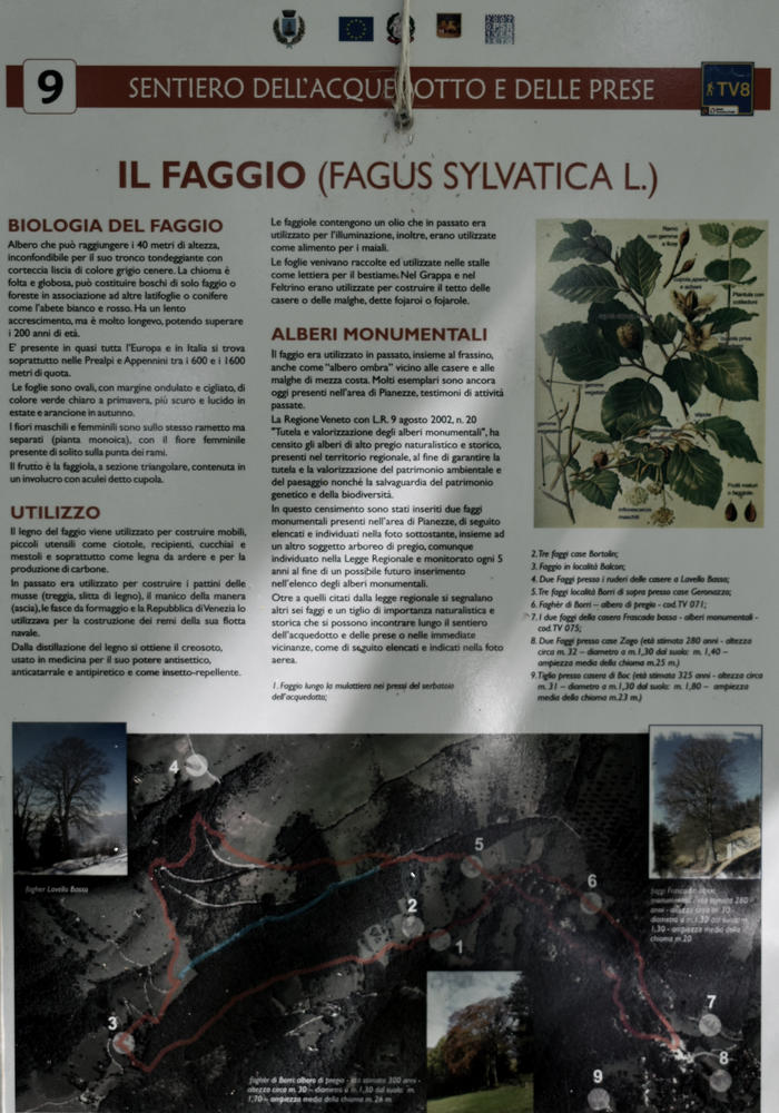 sentiero naturalistico delle Prese del Cesen, Strada dele Musse