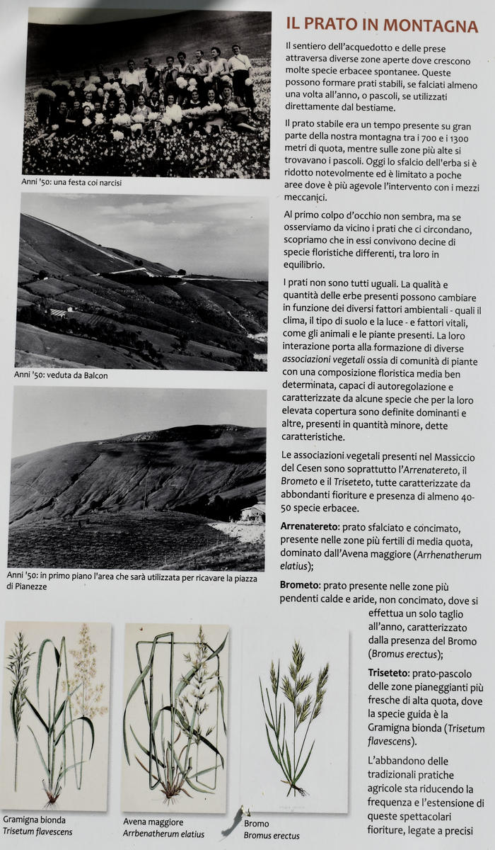 sentiero naturalistico delle Prese del Cesen, le Prese del monte Cesen