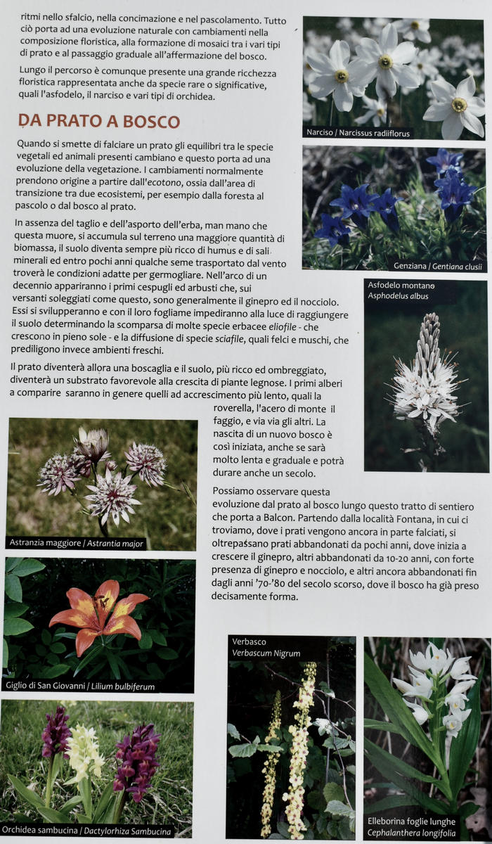 sentiero naturalistico delle Prese del Cesen, le Prese del monte Cesen