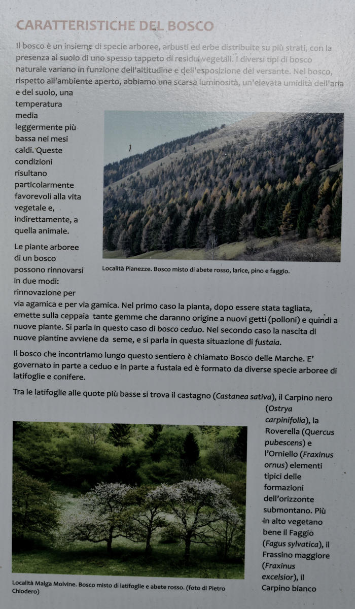 sentiero naturalistico delle Prese del Cesen, le Prese del monte Cesen