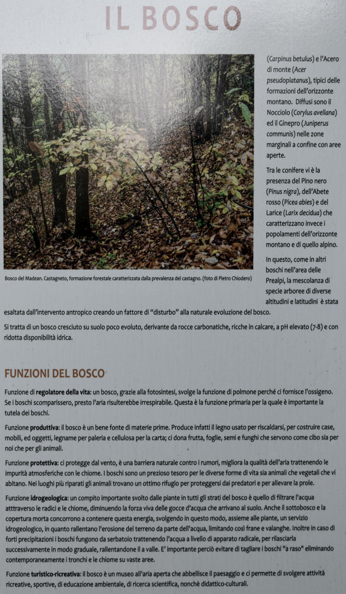 sentiero naturalistico delle Prese del Cesen, le Prese del monte Cesen