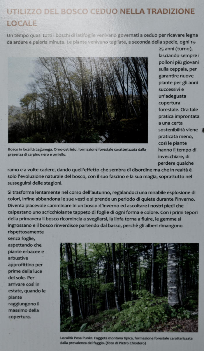 sentiero naturalistico delle Prese del Cesen, le Prese del monte Cesen