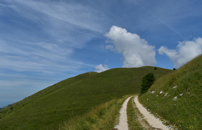anello escursionistico delle malghe del Cesen - rifugio Posa Puner, Cimon, Malga Mariech, Forconetta, Federa, casera I Pian