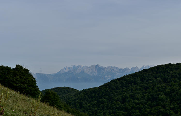 anello escursionistico delle malghe del Cesen - rifugio Posa Puner, Cimon, Malga Mariech, Forconetta, Federa, casera I Pian