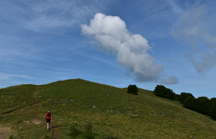 anello escursionistico delle malghe del Cesen - rifugio Posa Puner, Cimon, Malga Mariech, Forconetta, Federa, casera I Pian
