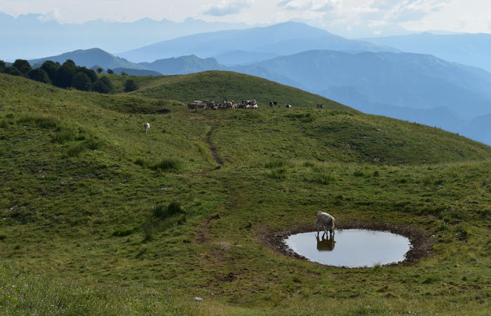 anello escursionistico delle malghe del Cesen - rifugio Posa Puner, Cimon, Malga Mariech, Forconetta, Federa, casera I Pian