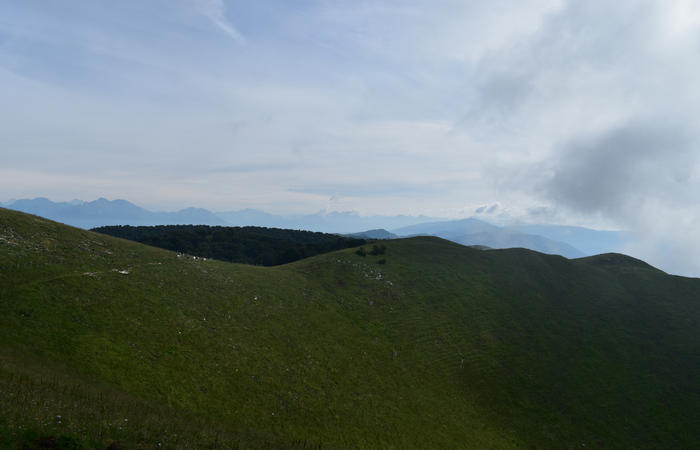 anello escursionistico delle malghe del Cesen - rifugio Posa Puner, Cimon, Malga Mariech, Forconetta, Federa, casera I Pian