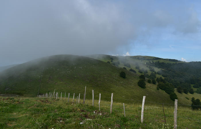 anello escursionistico delle malghe del Cesen - rifugio Posa Puner, Cimon, Malga Mariech, Forconetta, Federa, casera I Pian