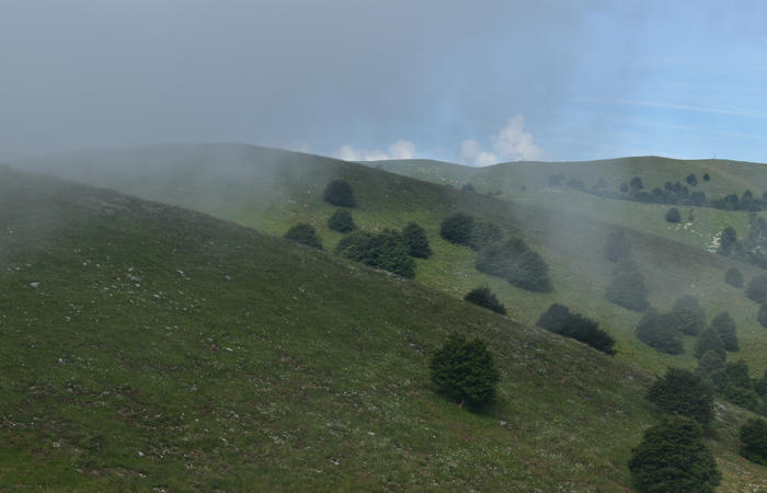 anello escursionistico delle malghe del Cesen - rifugio Posa Puner, Cimon, Malga Mariech, Forconetta, Federa, casera I Pian