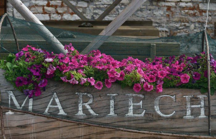 anello escursionistico delle malghe del Cesen - rifugio Posa Puner, Cimon, Malga Mariech, Forconetta, Federa, casera I Pian