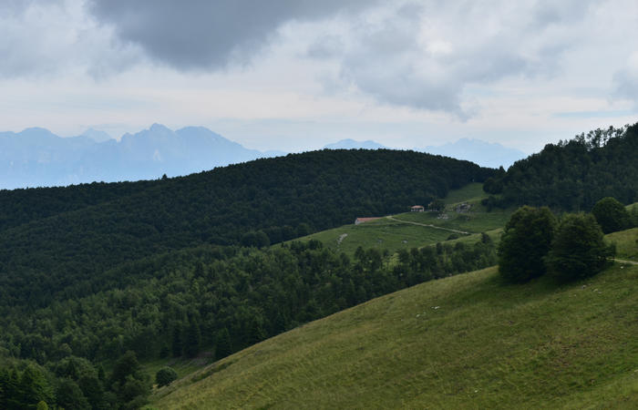 anello escursionistico delle malghe del Cesen - rifugio Posa Puner, Cimon, Malga Mariech, Forconetta, Federa, casera I Pian