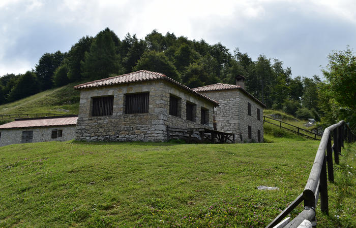 anello escursionistico delle malghe del Cesen - rifugio Posa Puner, Cimon, Malga Mariech, Forconetta, Federa, casera I Pian