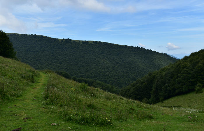 anello escursionistico delle malghe del Cesen - rifugio Posa Puner, Cimon, Malga Mariech, Forconetta, Federa, casera I Pian