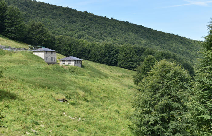 anello escursionistico delle malghe del Cesen - rifugio Posa Puner, Cimon, Malga Mariech, Forconetta, Federa, casera I Pian