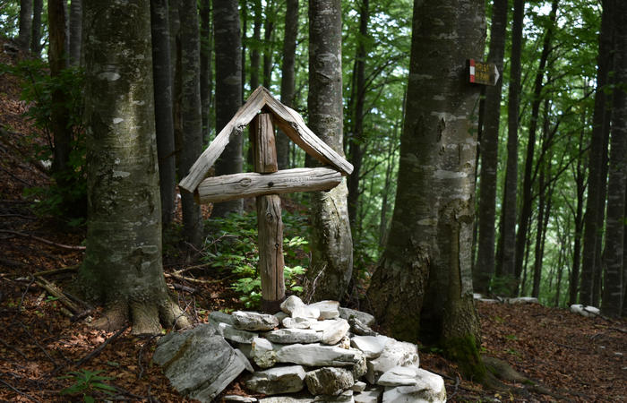 anello escursionistico delle malghe del Cesen - rifugio Posa Puner, Cimon, Malga Mariech, Forconetta, Federa, casera I Pian