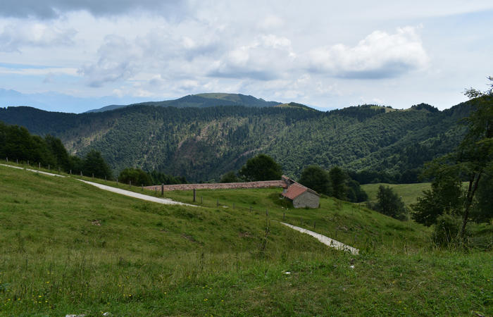 anello escursionistico delle malghe del Cesen - rifugio Posa Puner, Cimon, Malga Mariech, Forconetta, Federa, casera I Pian