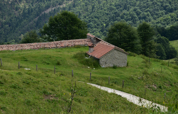 anello escursionistico delle malghe del Cesen - rifugio Posa Puner, Cimon, Malga Mariech, Forconetta, Federa, casera I Pian