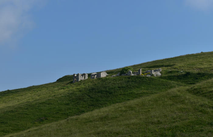 escursione naturalistica Malga Mariech Barbaria Orsere Forcelletta monte Cesen