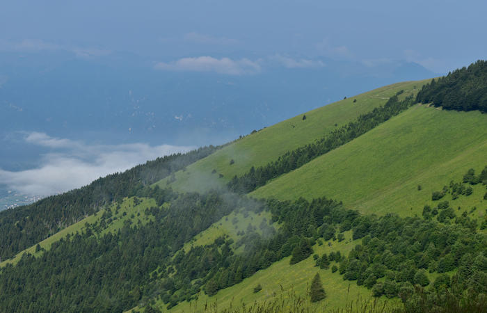 escursione naturalistica Malga Mariech Barbaria Orsere Forcelletta monte Cesen
