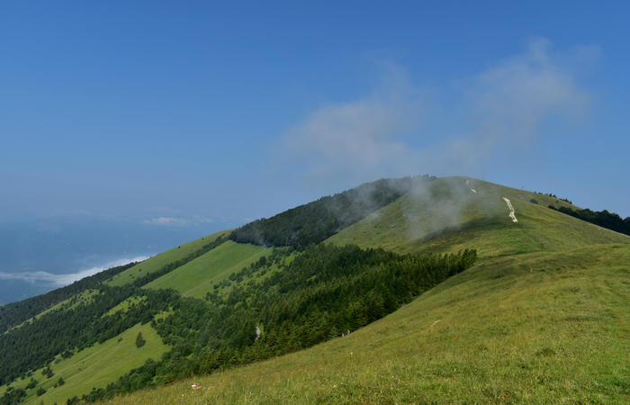 escursione naturalistica Malga Mariech Barbaria Orsere Forcelletta monte Cesen