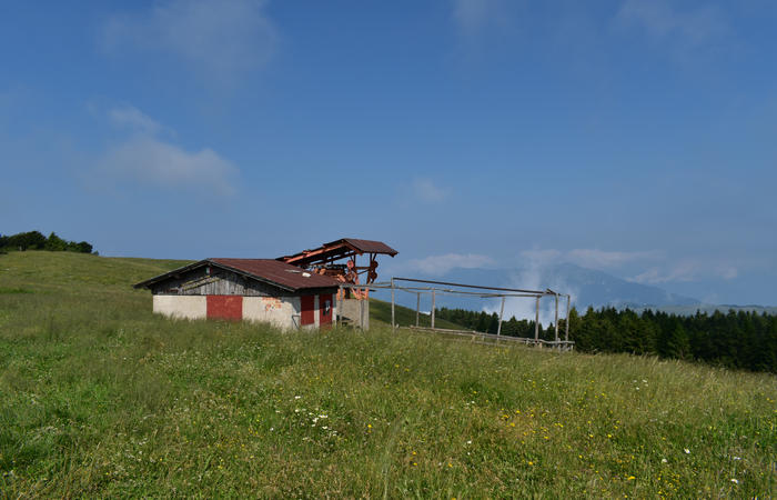 escursione naturalistica Malga Mariech Barbaria Orsere Forcelletta monte Cesen