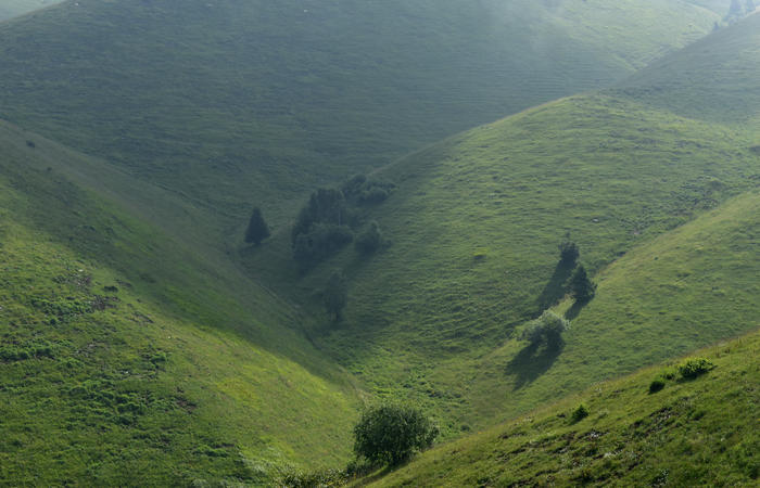 escursione naturalistica Malga Mariech Barbaria Orsere Forcelletta monte Cesen
