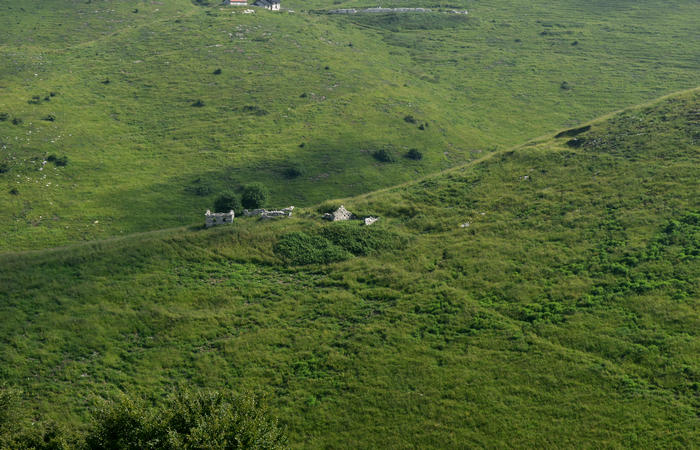 escursione naturalistica Malga Mariech Barbaria Orsere Forcelletta monte Cesen
