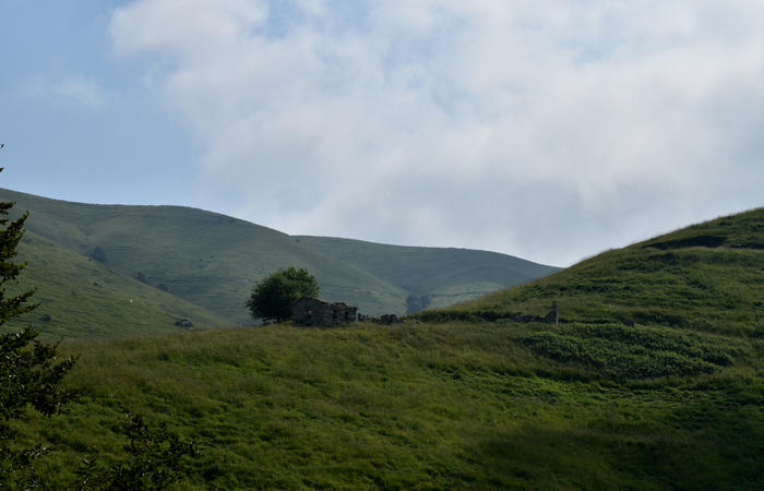 escursione naturalistica Malga Mariech Barbaria Orsere Forcelletta monte Cesen